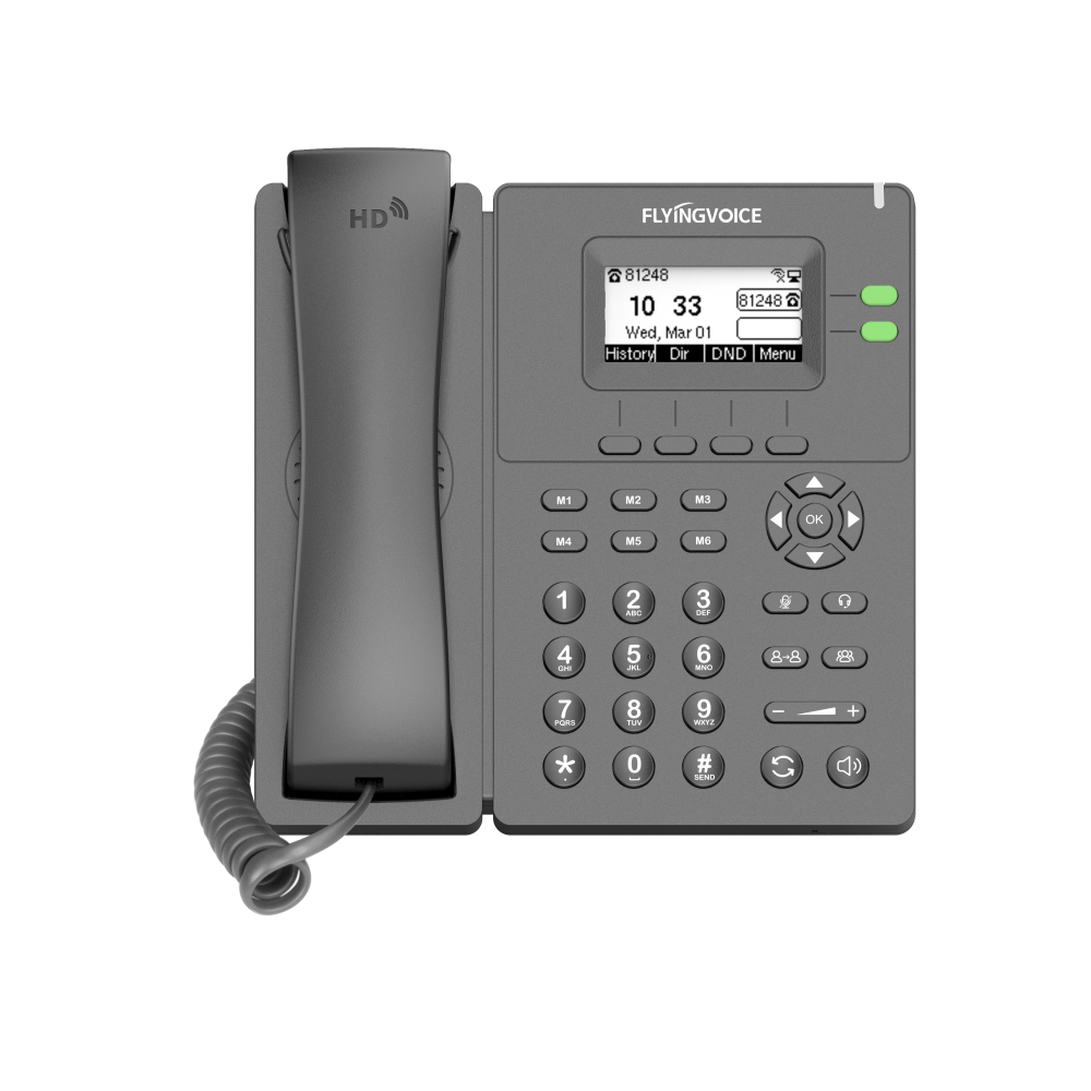 Flyingvoice P20 Бизнес-IP-телефон с двумя линиями