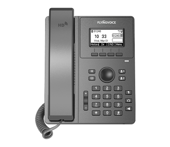 Flyingvoice P10S Начальный офисный IP-телефон