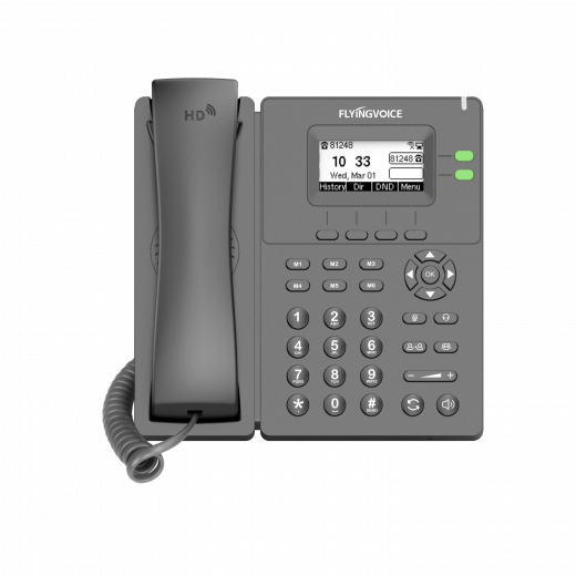 Flyingvoice P20G Бизнес-IP-телефон с двумя линиями