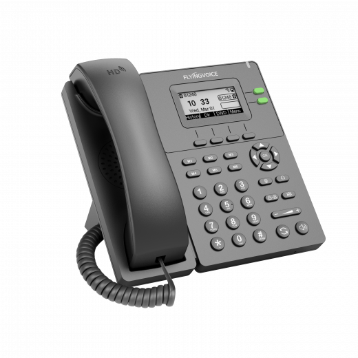 Flyingvoice P20G Бизнес-IP-телефон с двумя линиями